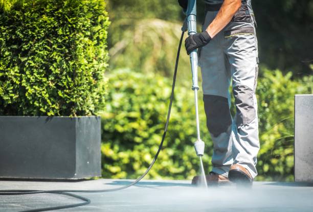 Best Roof Washing  in Morganville, NJ